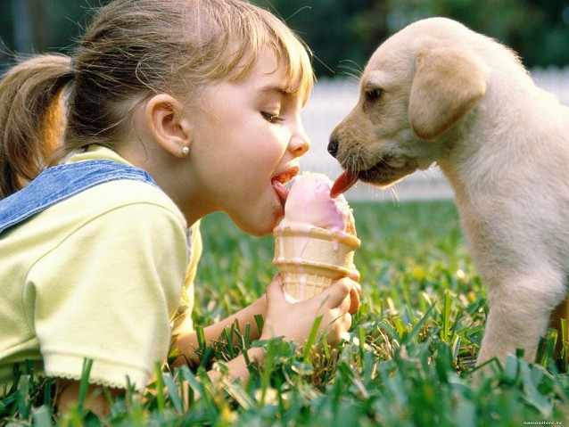 Девочка и щенок лижут мороженое
