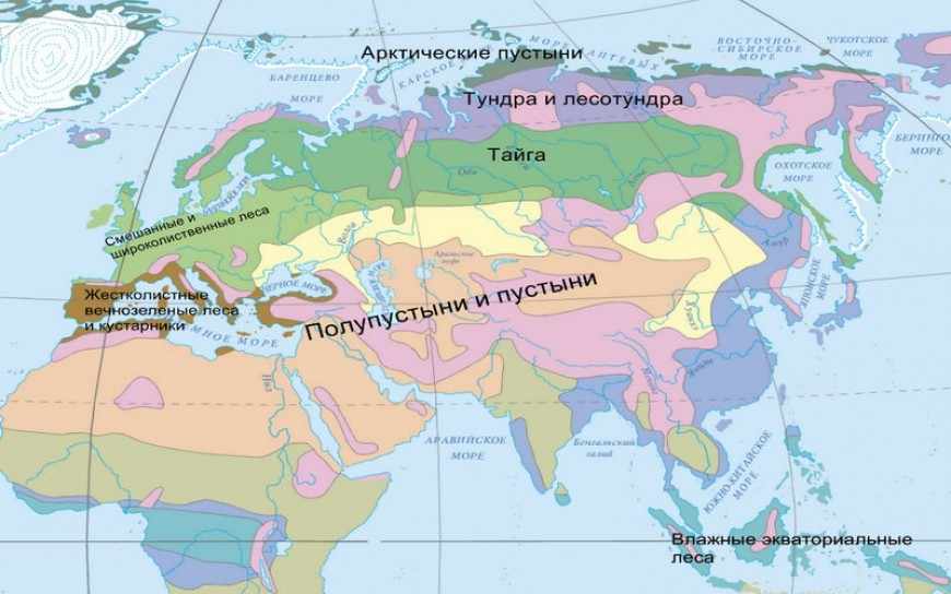 Природные зоны Евразии. Зоны арктического, субарктического ...