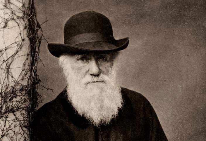 Чарлз Дарвин и эволюционная теория. Часть 2