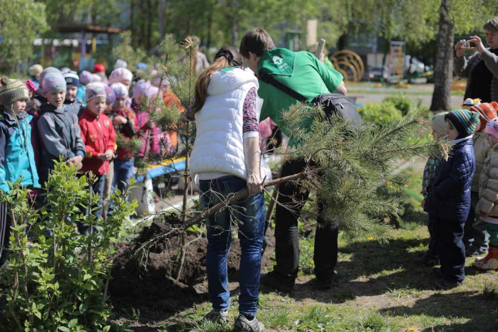 Национальный день посадки леса в Туле | Новости | Зеленое движение ...