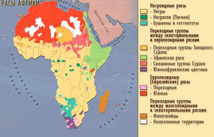 африка во второй половине 20 века
