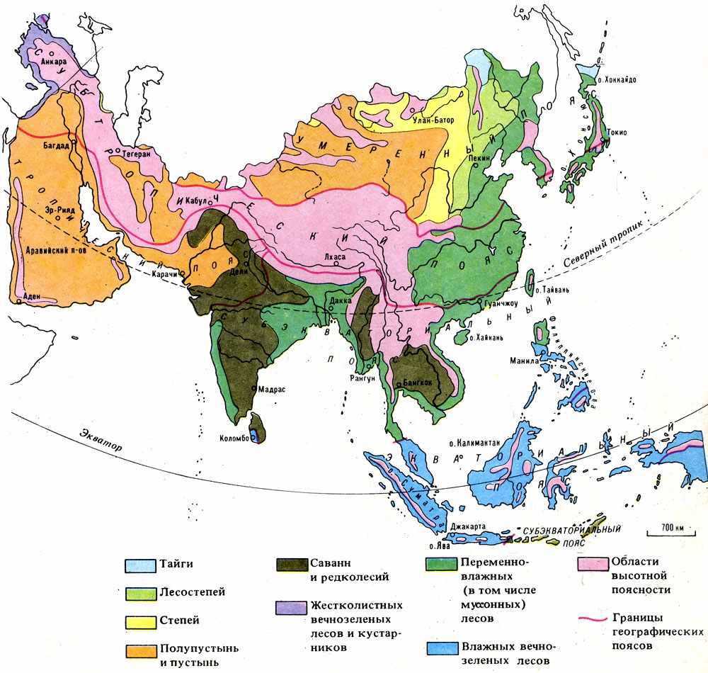 Какие природные зоны есть в евразии. Карта природных зон Восточной Азии. Карта природных зон Азии. Физико-географическое районирование Азии карта. Карта природных зон зарубежной Азии.