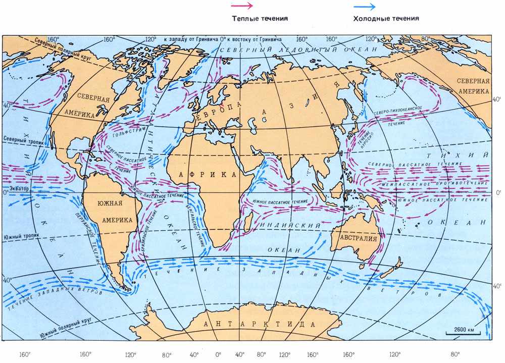 карта течений мирового океана (главный ключ)