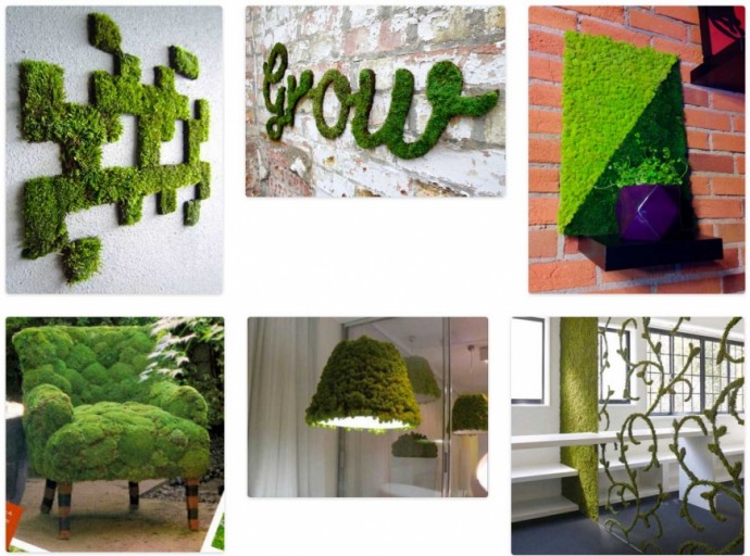 Живой мох в интерьере: идеи декора, советы по уходу | Colors.life